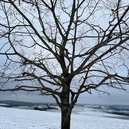 Eifel-Bau-Traum Schlich Villa Wershofen Buitenkant foto