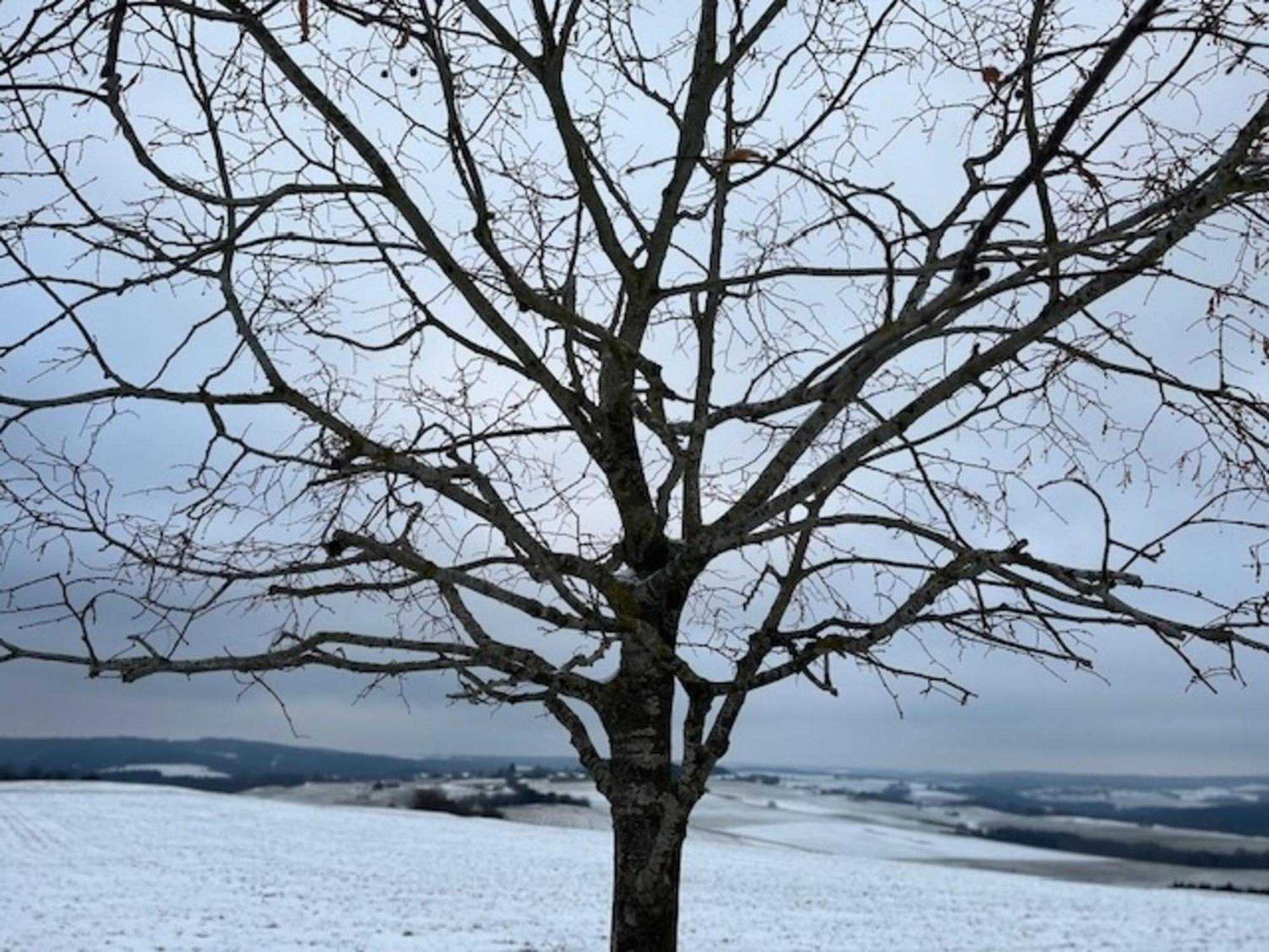 Eifel-Bau-Traum Schlich Villa Wershofen Buitenkant foto